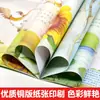 Livro Ilustrado de Popularização da Ciência e Iluminação para Crianças Amor Viajando Chuva Conjunto Completo de 10 Volumes Ilustrações Coloridas em Página Inteira Leitura em Áudio Histórias para Dormir
