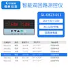 Controlador de temperatura, presión y nivel de líquido de doble circuito y doble haz de luz con dos instrumentos de visualización y dos entradas de señal 485