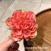 Nuevo Clip de Flor Rosa Seca Chinoiserie para Mujer 2024 Nuevo Clip para el Cabello de Estilo Nacional de Alta Gama Parte Trasera de la Cabeza Clip Grande de Tiburón