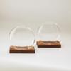Jarrón de vidrio hidropónico con asiento de madera creativo, planta de rosa verde, maceta transparente, decoración del hogar, decoración de escritorio de oficina