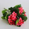 Flor artificial de Begonia de cinco puntas, flor para decoración de boda, flor para exterior, alquiler de planta verde, flor falsa, accesorios de decoración para sala de estar en casa