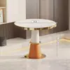Silla de Maquillaje, Recepción de Salón de Belleza, Sillón Individual, Silla para Salón de Uñas, Silla de Comedor de Lujo Ligero para Mahjong, Otro Metal