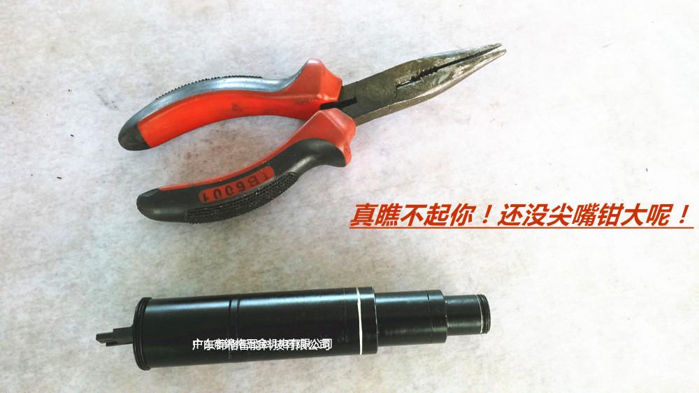 DSC_0084_副本_副本