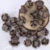 Materiales Naturales de Cáscara de Fruta y Semillas de Plantas por Libra para Carrillones de Viento Hechos a Mano DIY, Paquete de Materiales de Fruta Seca al por Mayor