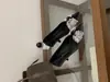 Novos Sapatos de Salto Agulha Femininos Elegantes, Estilo Francês, Bico Fino, Camurça Raso, Laço com Strass, Outono de 2026