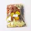 Kit de Materiales para Repujado A5 Flores Secas Flores Conservadas Marco de Fotos Flores Frescas Flores Prensadas Velas Aromáticas DIY