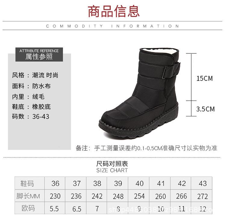 750_06.jpg