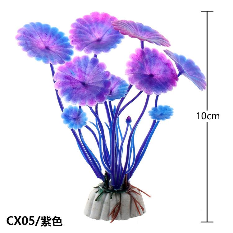 CX0502.jpg
