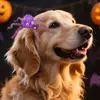Nuevo Tocado de Araña para Mascota Broma DIY Pinza de Pelo de Araña Estéreo Gato y Perro Fiesta de Halloween Pinza para el Pelo Decorativa