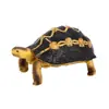 Estatueta Realista de Jabuti-Estrela Indiano Modelo Estático de Tartaruga Terrestre Brinquedo de Animal Anfíbio em PVC Figura Animal Educacional para Crianças Decoração de Tartaruga para