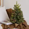 Árbol de Navidad Afelpado Árbol Desnudo Mini Árbol de Navidad Cubierto de Nieve Navidad DIY Árbol de Navidad Pequeño Adornos de Escritorio Q4