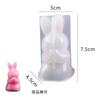 Molde de silicone 3D tridimensional de animal de desenho animado cola diy porco coelho cabaça gato da sorte bolsa enfeites de resina