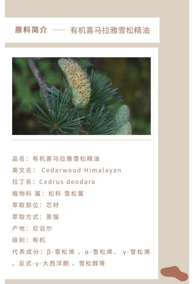 喜马拉雅雪松精油.jpg