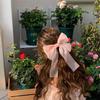 Internet Celebridade Novo Estilo Bow Hairpin Coreano Grab Clip Back Head Acessórios para o Cabelo Mulheres Top Clip JK Hairpin Clip Headwear Mulheres