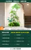 Decoração de Combinação de Paisagem de Plantas Verdes Plantas Artificiais Arranjo de Exibição de Janela de Pátio Cenário de Paisagem Interna Árvore de Atmosfera