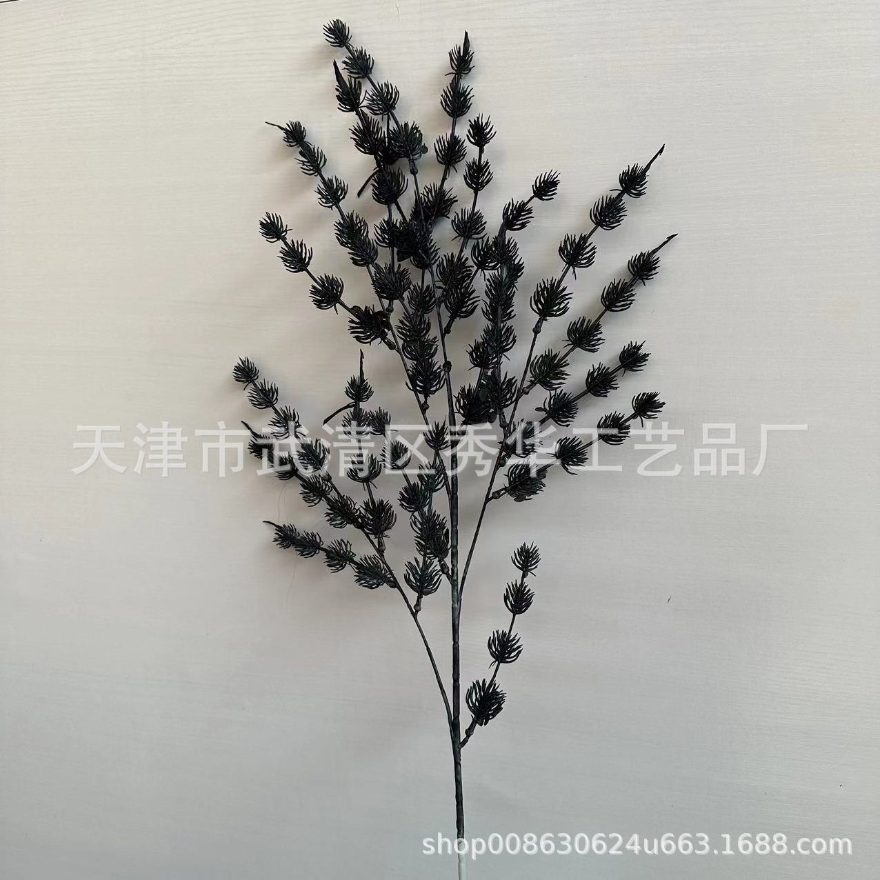黑色情人果