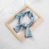Estilo chique feminino novo boxer pequeno cachecol estilo coreano cachecol longo dupla face primavera e outono versátil estreito decorativo faixa de cabelo