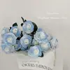 Simulação hidratante sentir único quebrado gelo azul rosa Dia dos Namorados decoração da casa fotografando rosas do Equador