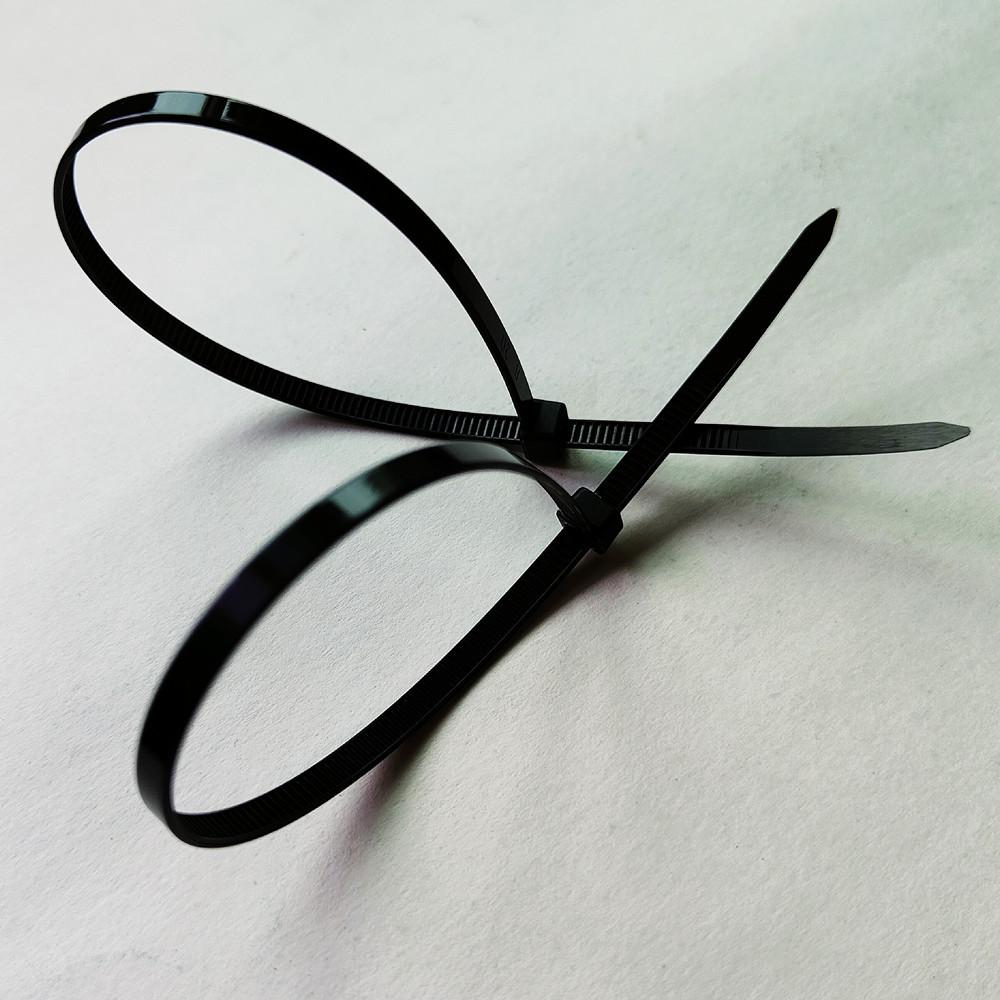 5X250自锁式尼龙扎带