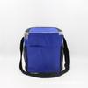 Fabricante de Bolsas de Hielo Aisladas Yiwu Bolsa Aislada Personalizada Australiana Bolsa de Hielo para Regalo Promocional Bolsa de Almacenamiento Aislada Individual Bolsa para Comida