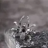 Anel de Aranha Personalizado Europeu e Americano Dark Halloween Transfronteiriço para Mulheres Estilo Ins Cool Moda Anel Aberto para Dedo Indicador Tendência