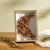 Marco de Fotos de Flores Secas Hueco Tridimensional DIY Marco de Fotos Decorativo Fabricante Pintura de Luz Hueco 5 Hueco 3 Marco de Espécimen de Mariposa