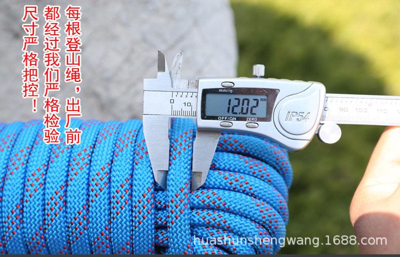 详情9