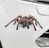 AliExpress eBey Amazon WISH más vendidos Directo de Fábrica Araña zhu lagarto animal pegatinas de coche pegatinas de simulación