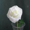 Simulação de rosas holandesas únicas, buquê de rosas para casamento, cachoeira de rosas, decoração de parede, atacado