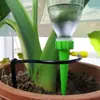 Dispositivo de Goteo de Agua, Dispositivo de Riego Perezoso, Gotero Ajustable, Dispositivo de Riego para Plantas Suculentas en Maceta, Aspersor, Riego por Goteo, Tubería de Riego por Goteo