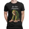 Camiseta Hipster Brr Brr Patapim Cerebro Podrido Italiano Hombre Algodón Redondo