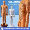 Modelo de Corpo Humano com Pontos de Acupuntura para Praticar Inserção de Agulha, Diagrama Completo do Corpo com os Doze Meridianos da Medicina Chinesa, Modelo de Cobre em Forma Humana