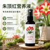 [Potenciador de Floración] Solución nutritiva especial para Anturios, promueve la floración, extiende el período de floración, previene el amarillamiento de las hojas y es un fertilizante líquido listo para usar