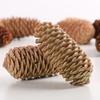 Pino Piña de Pino Piña Decoraciones Navideñas Accesorios para Fotografía Flores Secas Materiales para Manualidades Adornos Naturales Hechos a Mano Estilo Bosque