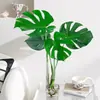 Planta Hidropónica Monstera Maceta Pila Vieja Purifica el Aire Ave del Paraíso Hoja Grande Follaje de Interior Planta Verde Perenne Todo el Año