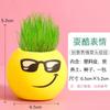 Plantas en macetas pequeñas de frutas y verduras para niños, mini macetas de escritorio para estudiantes, experimento científico de jardín de infantes, taza para plantar frutas y verduras