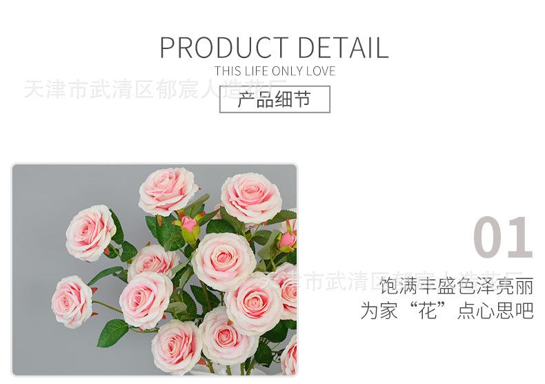 详情_08.png