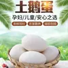 Huevos de Ganso de Granja - Huevos Frescos del Mismo Día, Huevos de Ganso de Corral, Grandes, Frescos, Aptos para Mujeres Embarazadas