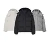 Chaqueta de Plumón Corazón Amy Versión Alta Putian Perfil Grande Chaqueta Corta de Pan Ligera con Capucha para Hombres y Mujeres