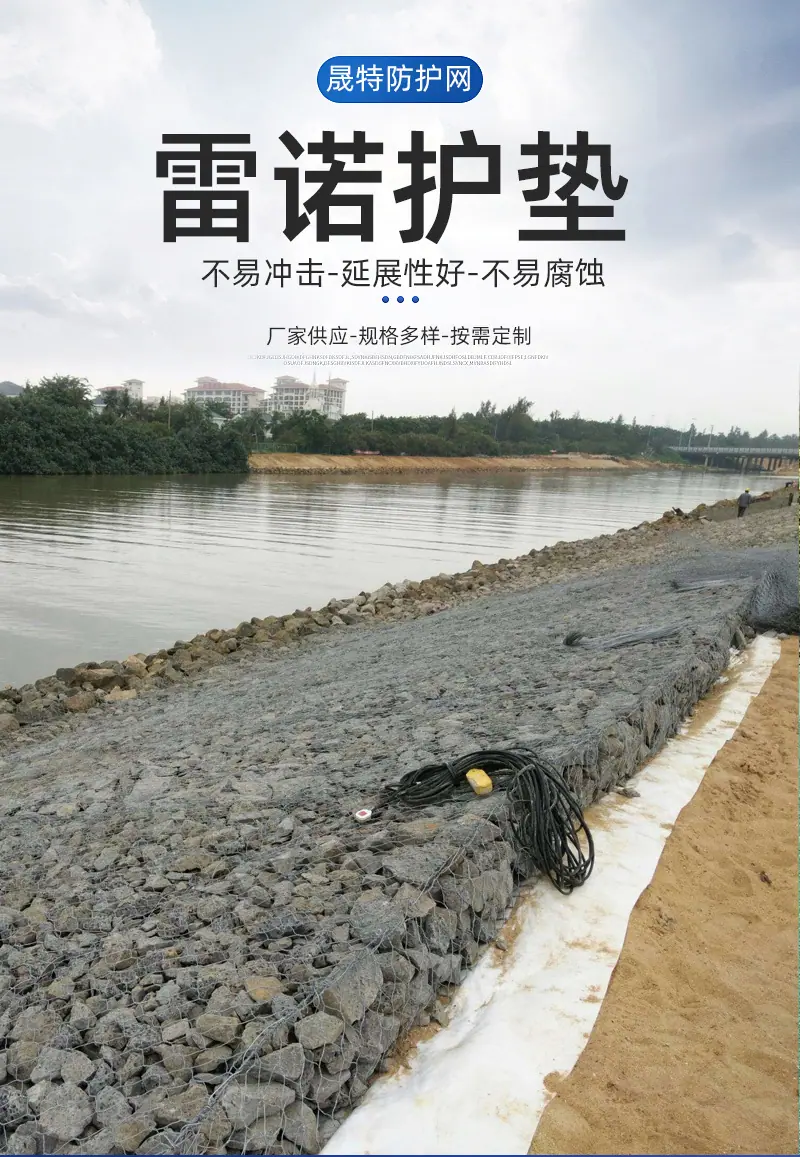 雷诺_02.jpg