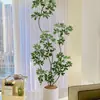 Pé de Pato Madeira Simulação Planta Verde Planta Falsa Alta Qualidade Sala de Estar Planta em Vaso Interior Grande Bonsai Biônico Hotel Decoração de Chão