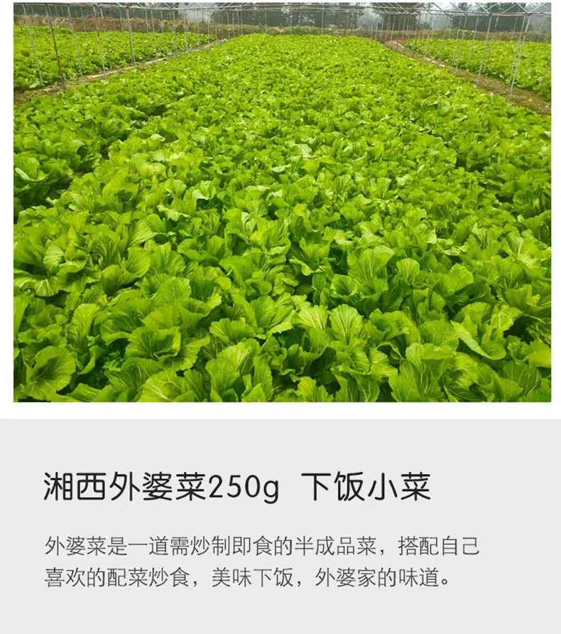 外婆菜实惠版_06.jpg