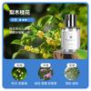 Perfume para Coche, Aromaterapia para Coche, Accesorios de Coche de Alta Gama para Hombre, Fragancia, Productos de Coche de Alta Gama