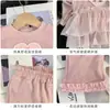 Conjunto de Ropa para Niñas para Primavera y Otoño 2026, Nuevo Elegante Conjunto de Dos Piezas para Niñas Pequeñas y Niños Pequeños, Ropa de Principios de Otoño