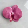 Pinza para el pelo de Phalaenopsis con Ambiente de Hada Súper Flor para el Cabello Estilo Mori para Mujer Pinza Lateral de Pico de Pato Placa Trasera para el Cabello Pinza de Sujeción para el Cabello Pinza para el Pelo