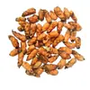 Red Sorrel Seed Bulbs Purple Sorrel Red Flower Lawn Seeds White Clover Four Seasons Seeds Seeds Potted Plants