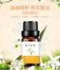 Óleo essencial unilateral natural de plantas 10ml em estoque de fábrica, óleo de massagem de lavanda, absinto, rosa, óleo essencial de aromaterapia para cuidados com a pele