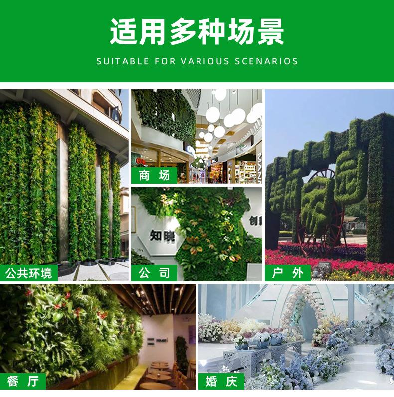 AG004新详情_06.jpg