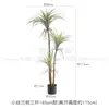 Planta Arena Simulación Aloe Tequila Decoración Decorativa Árbol Falso Cola de Caballo Hierro Holandés Tienda de Hierro Ropa Suave