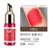 Esculpir Color de Tatuaje Tatuaje de Cejas Semipermanente Decoloración Labios Delineador de Ojos Emulsión de Color de Alta Definición Duradero Natural Sin Enrojecimiento Fácil de Colorear